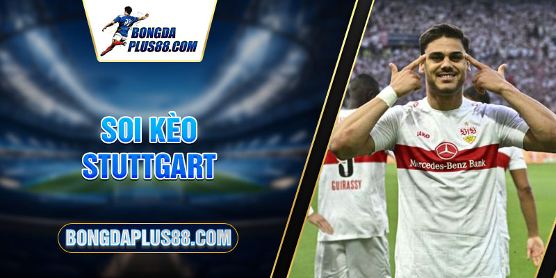 Soi kèo Stuttgart chuẩn xác