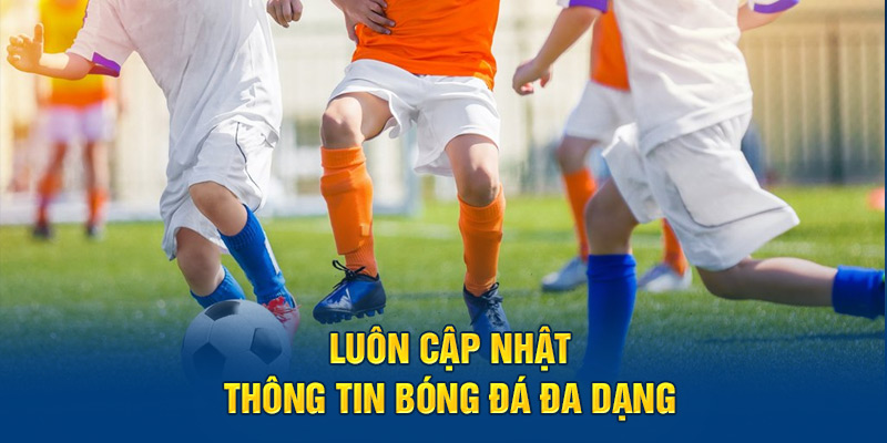 Luôn cập nhật thông tin bóng đá đa dạng 